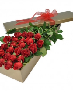 24 Roses in a beautiful box