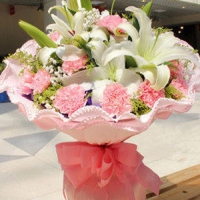Pink Carnations with stargaizer